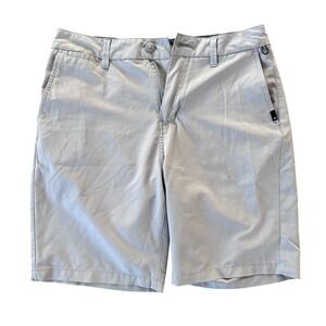 Quiksilver Amphibian Shorts Mens Size 30 Gray Board Shorts Swim Trunks Quick Dry